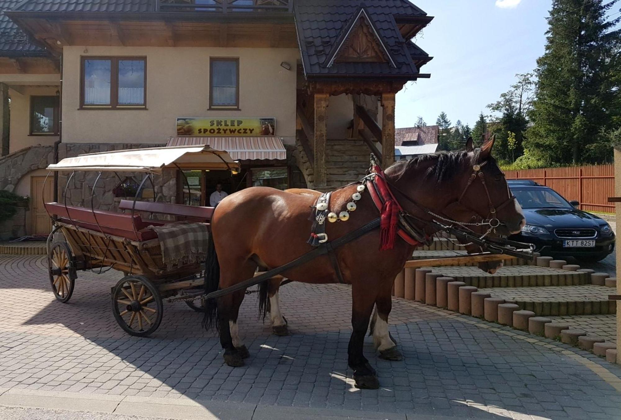 Pokoje Goscinne Pod Giewontem Zakopane Exterior foto